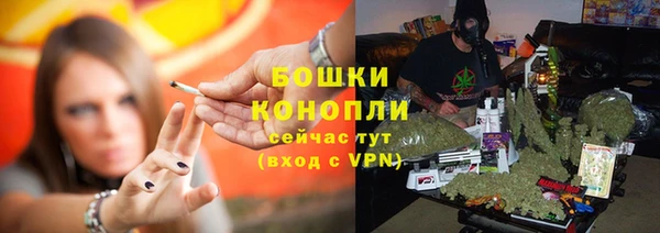 гашик Няндома