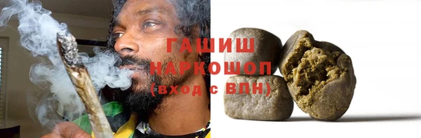 гашик Няндома