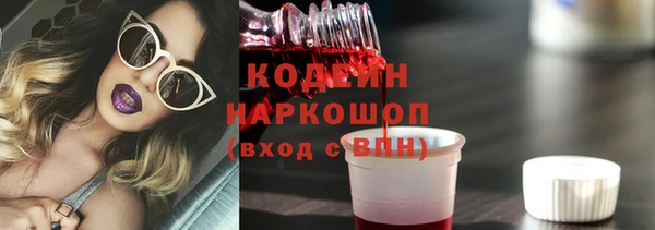 гашик Няндома
