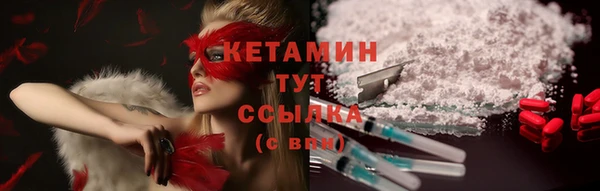 гашик Няндома