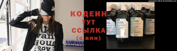 гашик Няндома