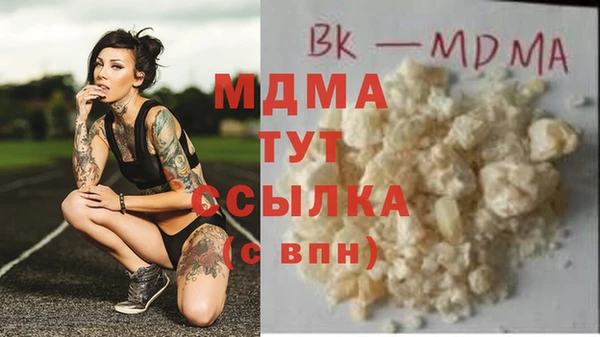 гашик Няндома