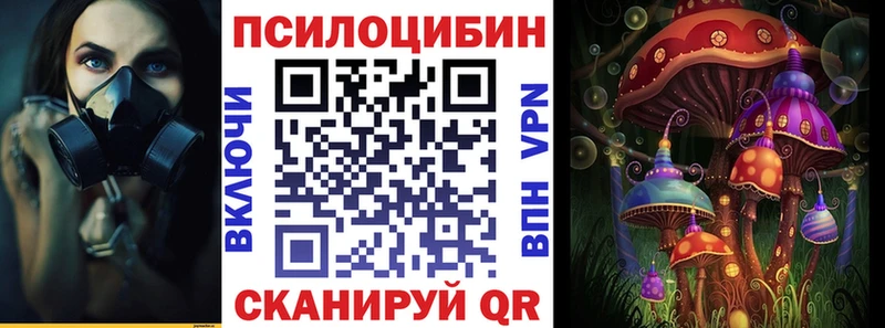 Галлюциногенные грибы Magic Shrooms  Таганрог 