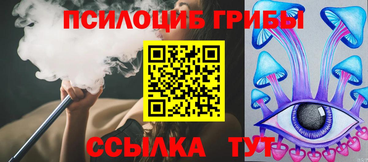 Таганрог  Галлюциногенные грибы Cubensis  Вход с VPN 